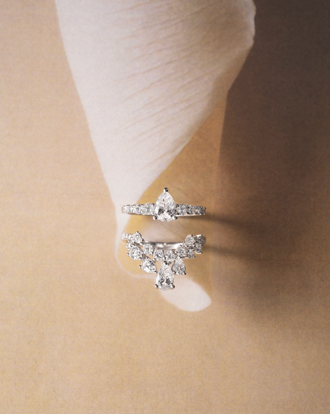 Image de diapositive