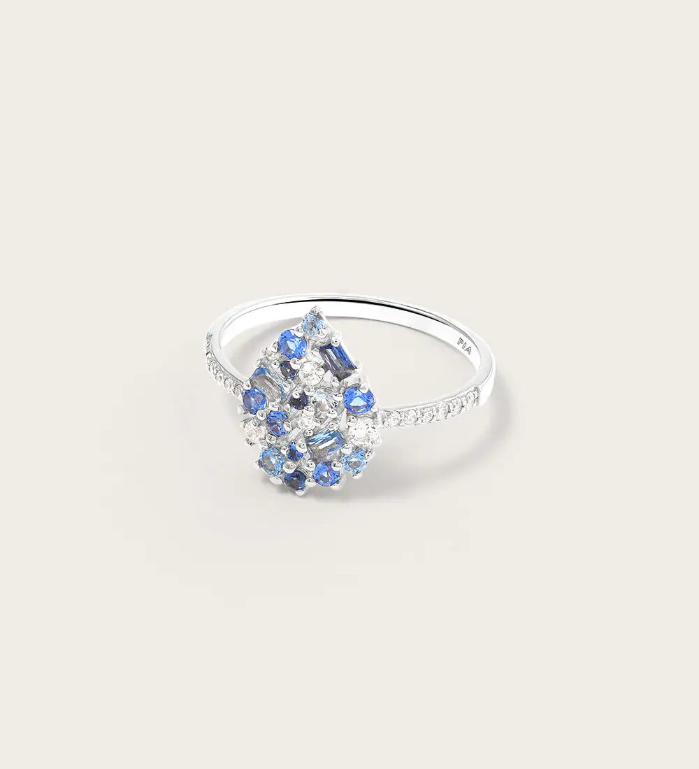 Paloma Bleue Or Blanc