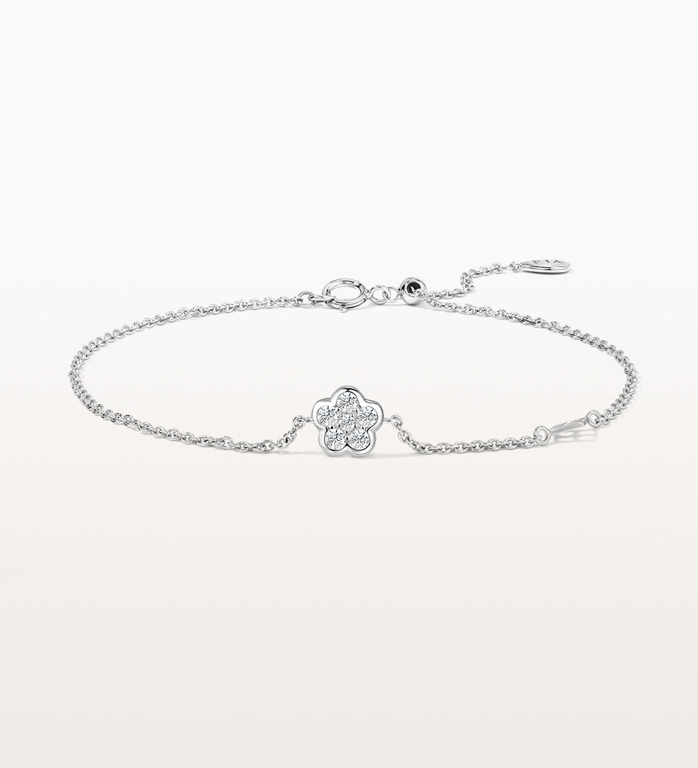 Image de diapositive