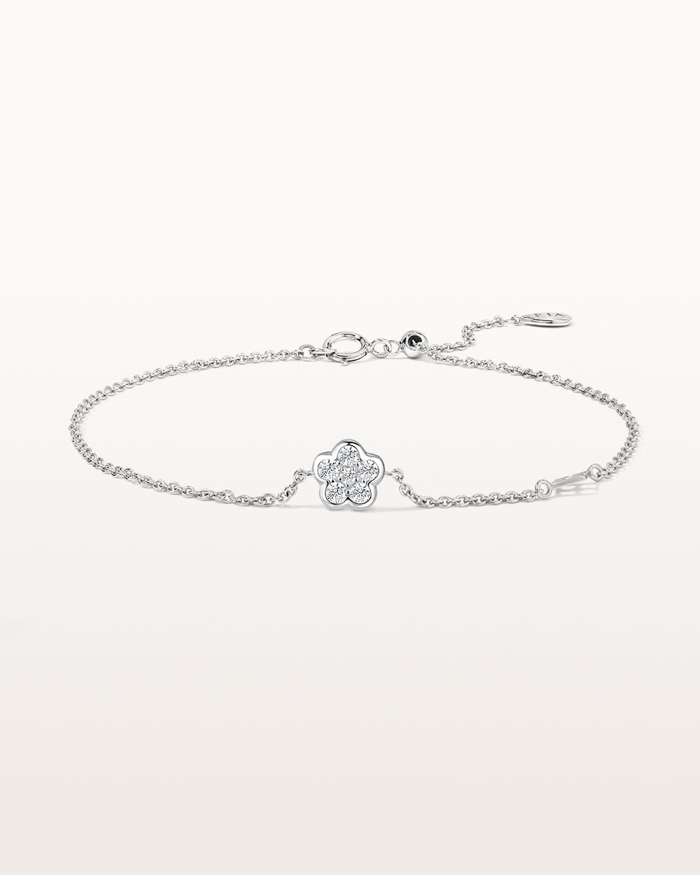 Image de diapositive