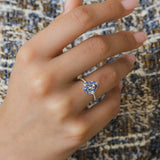 Paloma Bleue Or Blanc