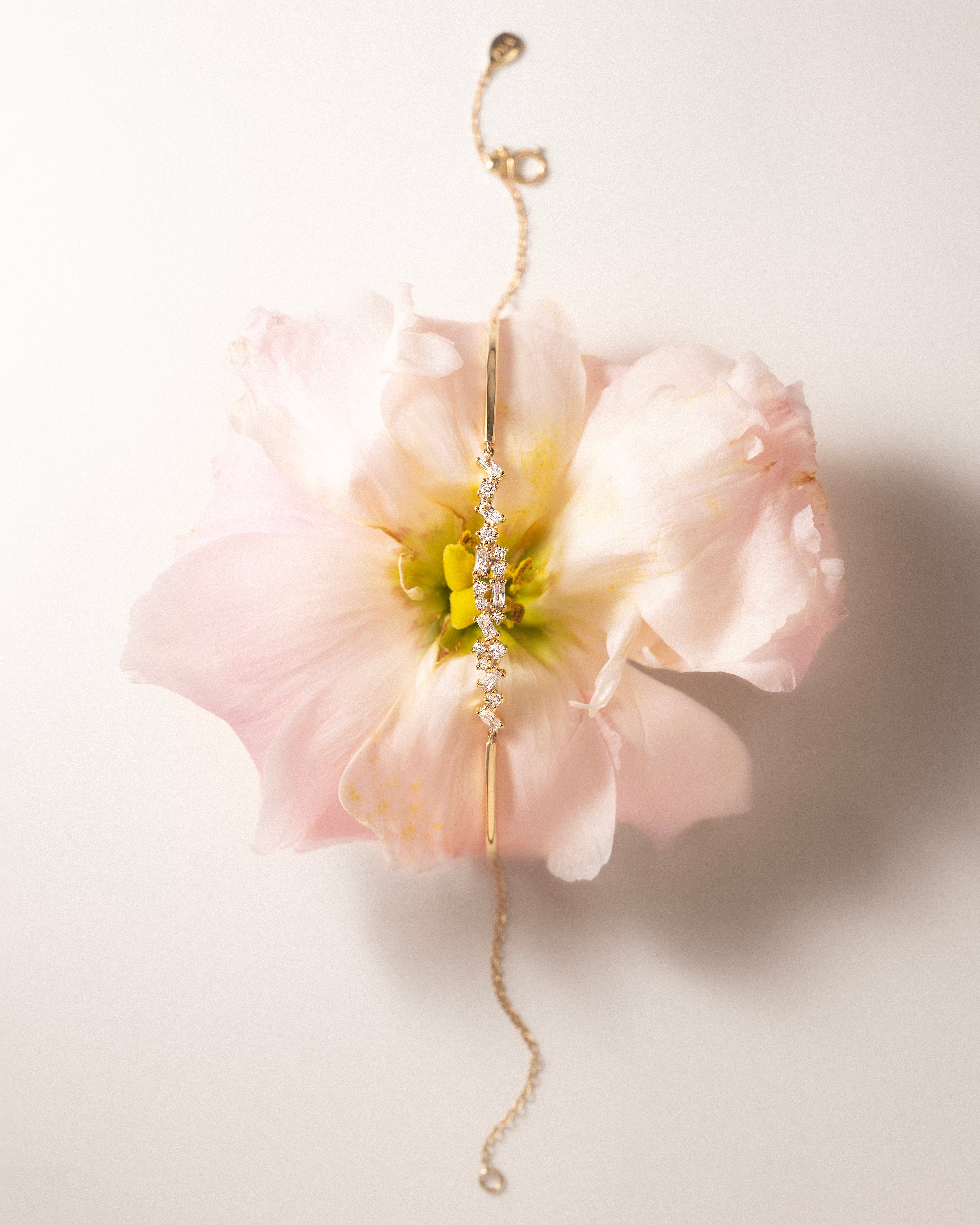 Image de diapositive